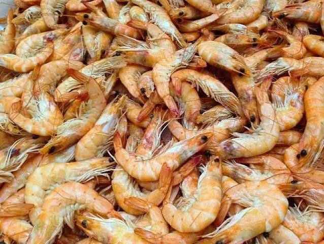 میگو دریای عمان تازه دریایی مناسب غذاهای خاص و رستورانی